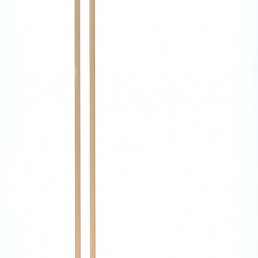 B1